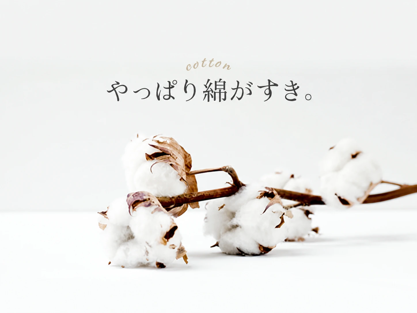 やっぱり綿がすき。