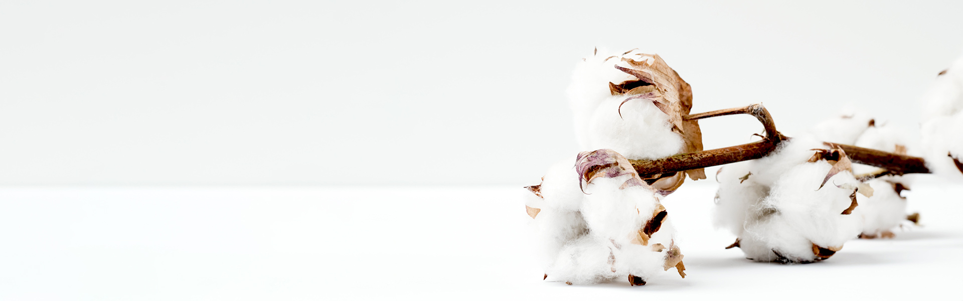 やっぱり綿が好き。