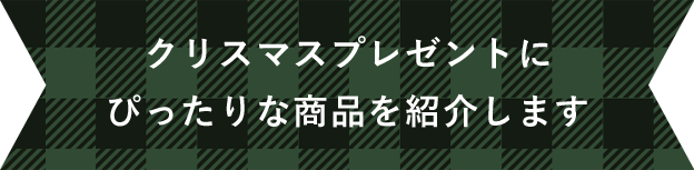 クリスマスプレゼントにぴったりな商品を紹介します