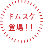 ドムスケ登場!!