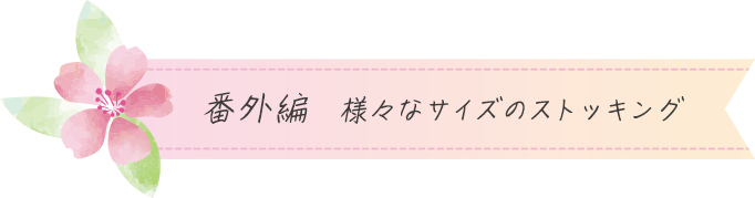 番外編 様々なサイズのストッキング