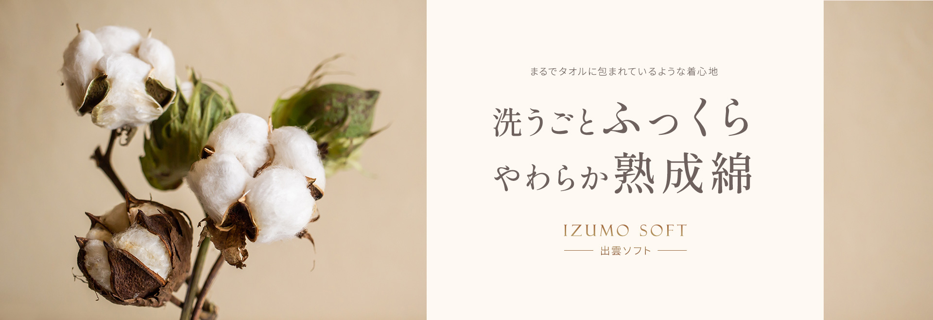 まるでタオルに包まれているような着心地 洗うごとふっくらやわらか熟成綿 IZUMO SOFT