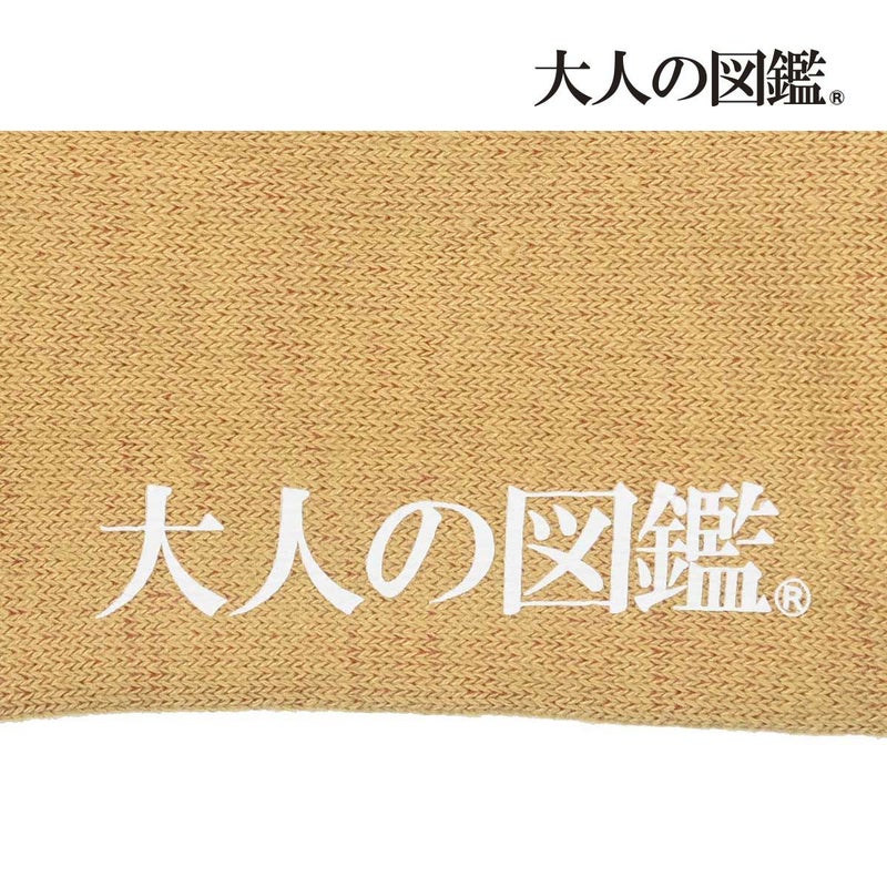 【大人の図鑑】靴下古代エジプト編ヒエログリフ柄ワンポイント刺繍クルー丈メジェド(3182-02N)