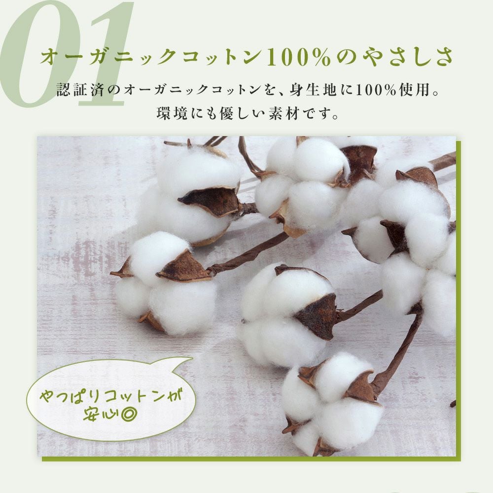 kihada(キハダ)】 モールドブラジャー 無地 一部レース リブ (75-3045