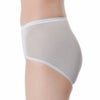 fukuskeFUN(フクスケファン)ショーツ無地スタンダードタイプ透け感(14P1011)